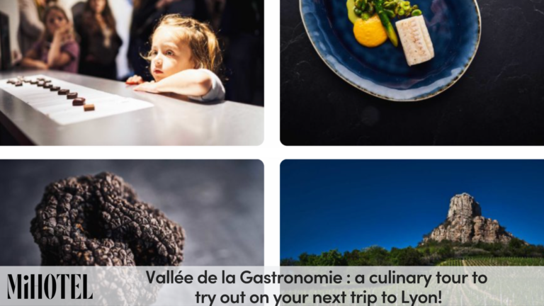 a-culinary-tour-to-try-out-on-your-next-trip-to-lyon
