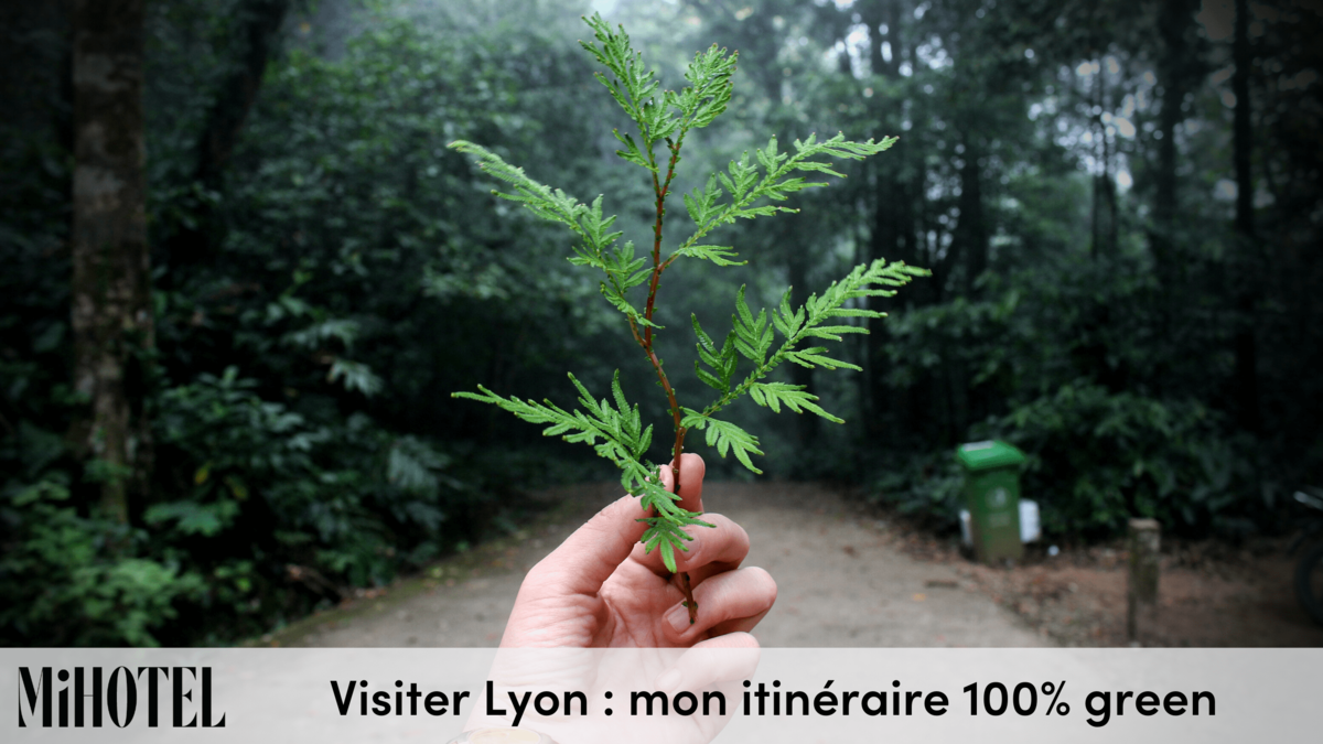 visiter-lyon-itineraire-green